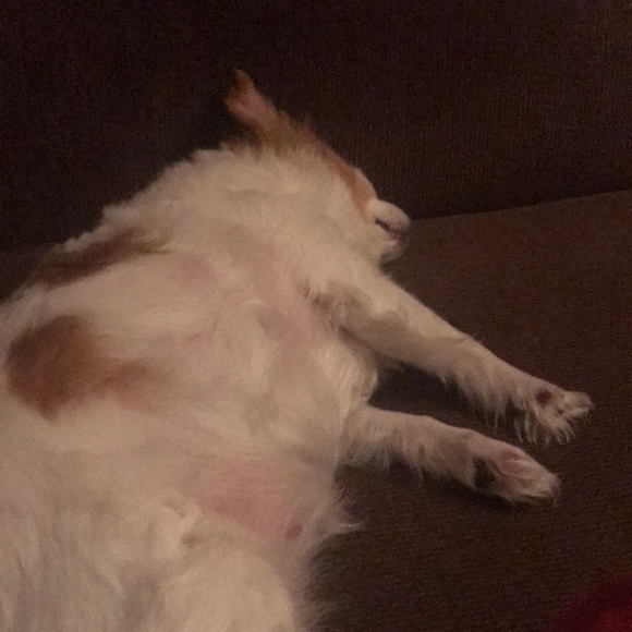 Meet your Posher, Lourdes - Picture 1 of 1